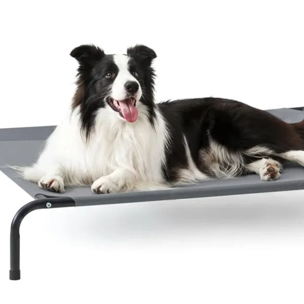 Love's Cabin Elevated Cooling Dog Bed