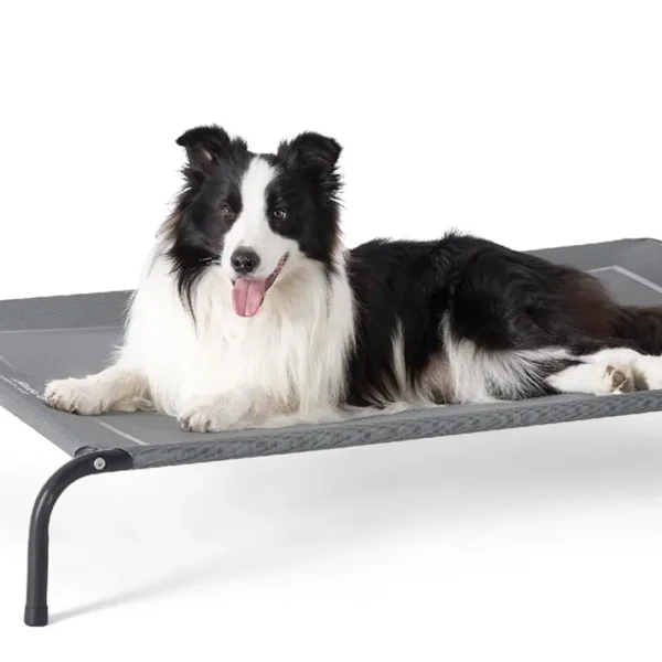 Outdoor Elevated Cooling Dog Bed