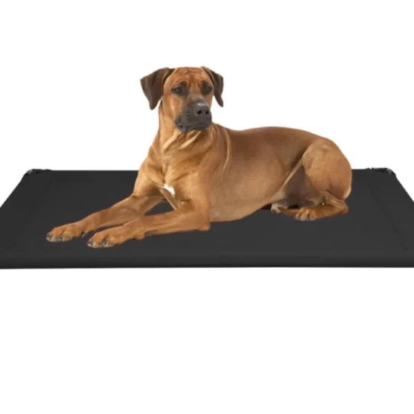Large Cooling Outdoor Dog Bed